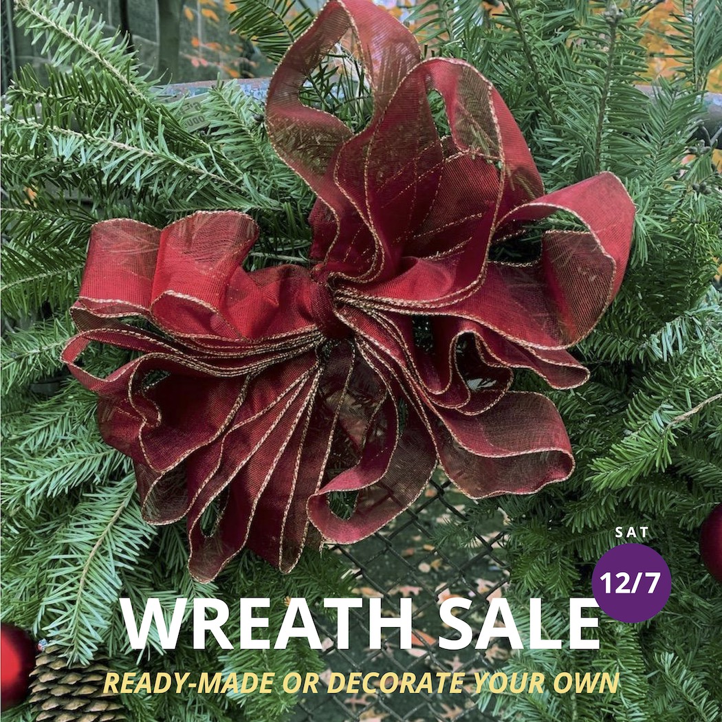 A Christmas Wreath of evergreen branches and fancy red ribbon with text "Wreath Sale"